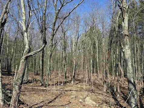 79-1 Currier Road Candia NH 03034