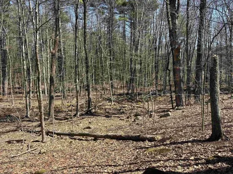 79-1 Currier Road Candia NH 03034