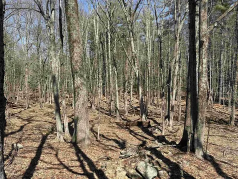 79-1 Currier Road Candia NH 03034