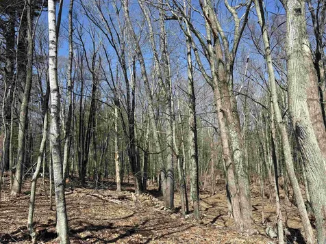 79-1 Currier Road Candia NH 03034