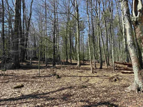 79-1 Currier Road Candia NH 03034