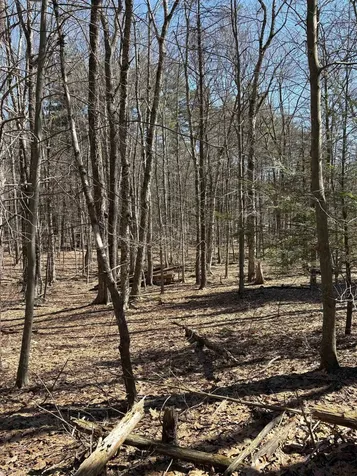 79-1 Currier Road Candia NH 03034