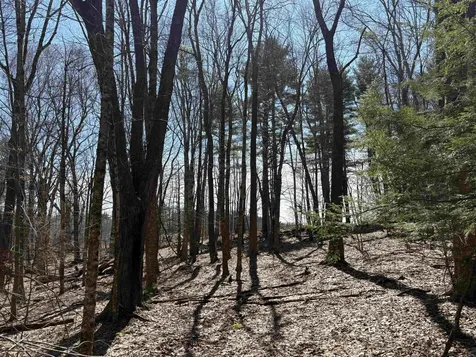 79-1 Currier Road Candia NH 03034