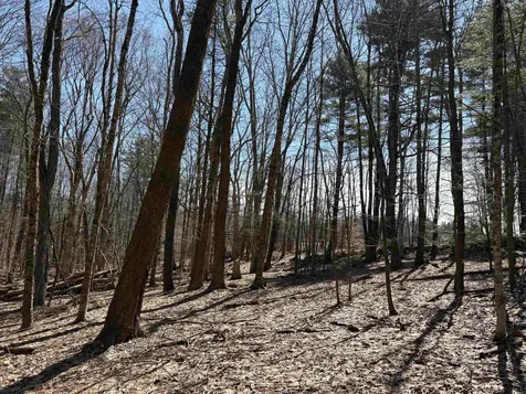 79-1 Currier Road Candia NH 03034