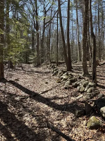 79-1 Currier Road Candia NH 03034