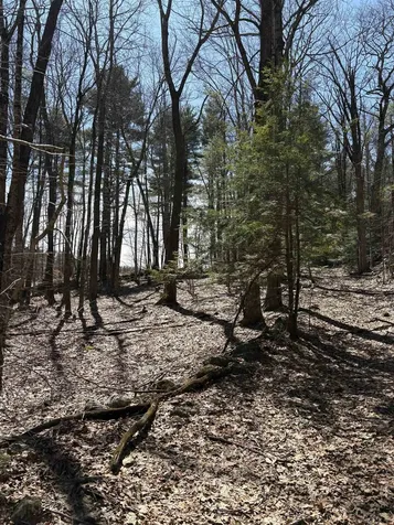 79-1 Currier Road Candia NH 03034