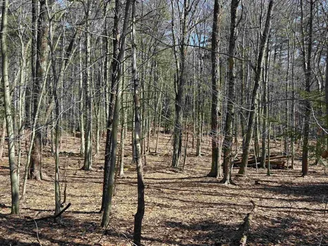 79-1 Currier Road Candia NH 03034