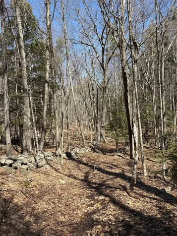 79-1 Currier Road Candia NH 03034