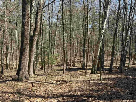 79-1 Currier Road Candia NH 03034