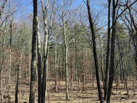 79-1 Currier Road Candia NH 03034