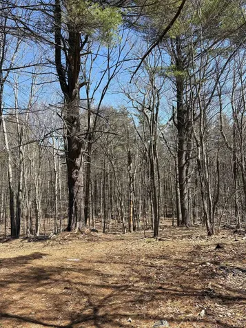 79-1 Currier Road Candia NH 03034