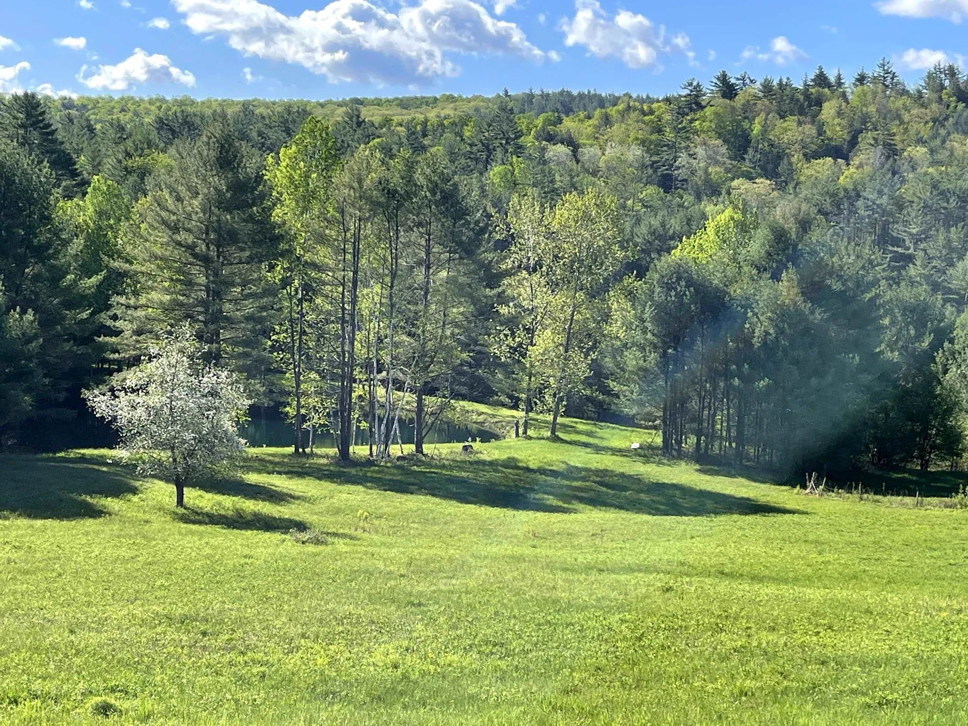 80 Norford Lake Road Norwich VT 05055