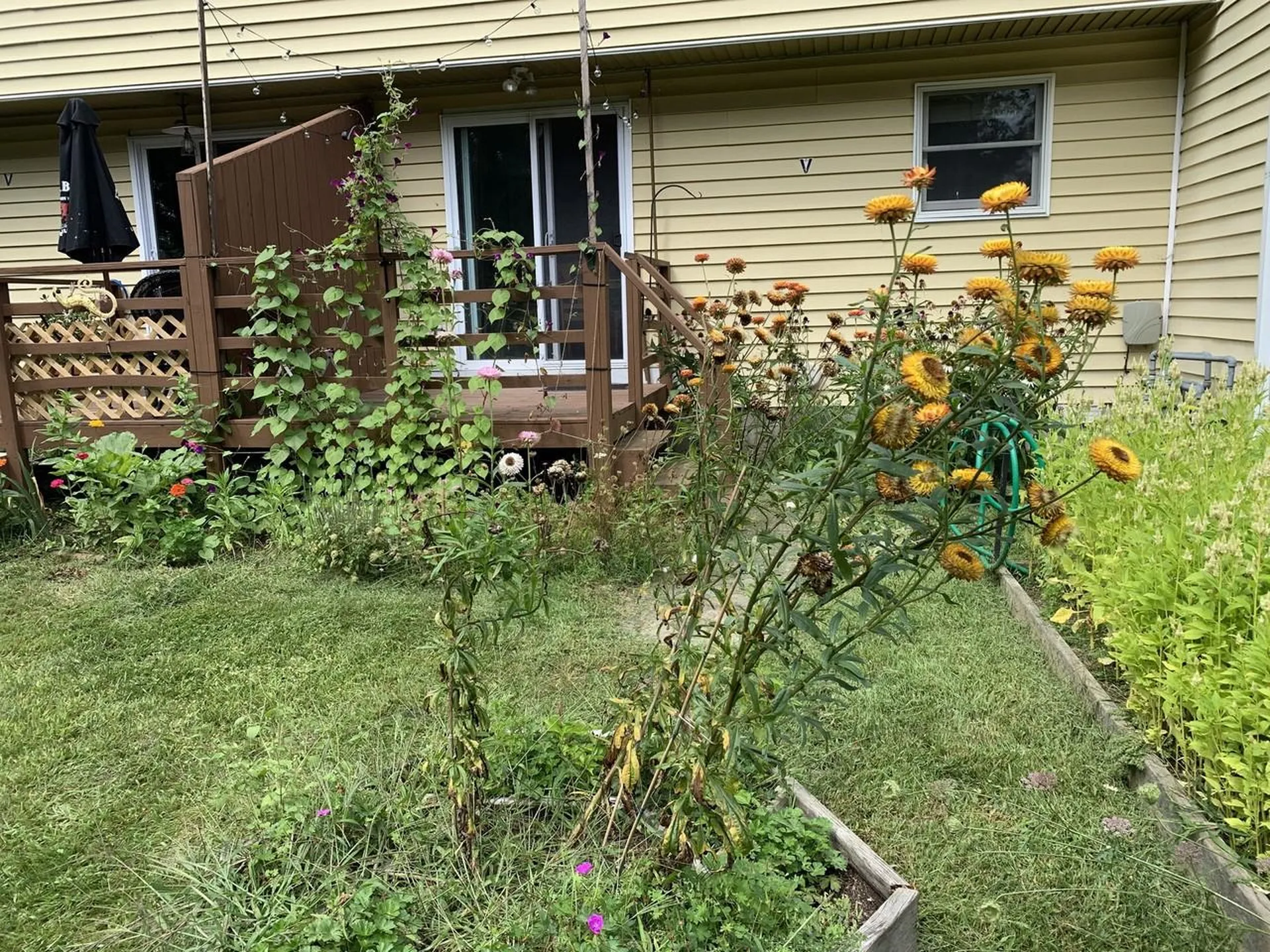 63 Fairmont Place Burlington VT 05408