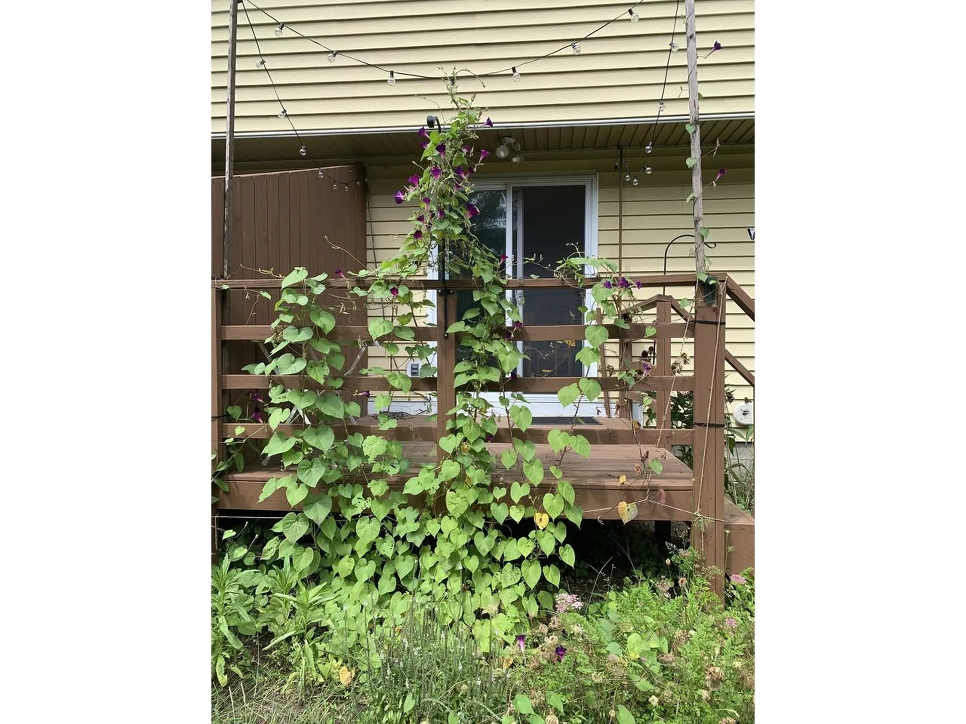 63 Fairmont Place Burlington VT 05408