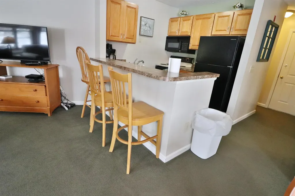 156 Deer Park Drive Woodstock NH 03262