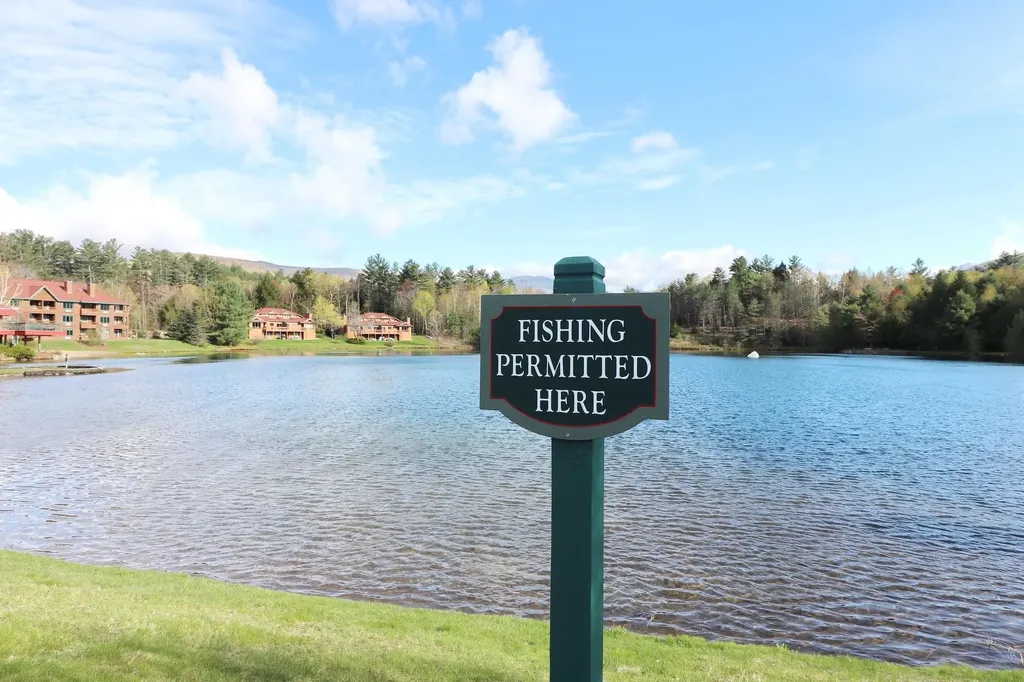 156 Deer Park Drive Woodstock NH 03262