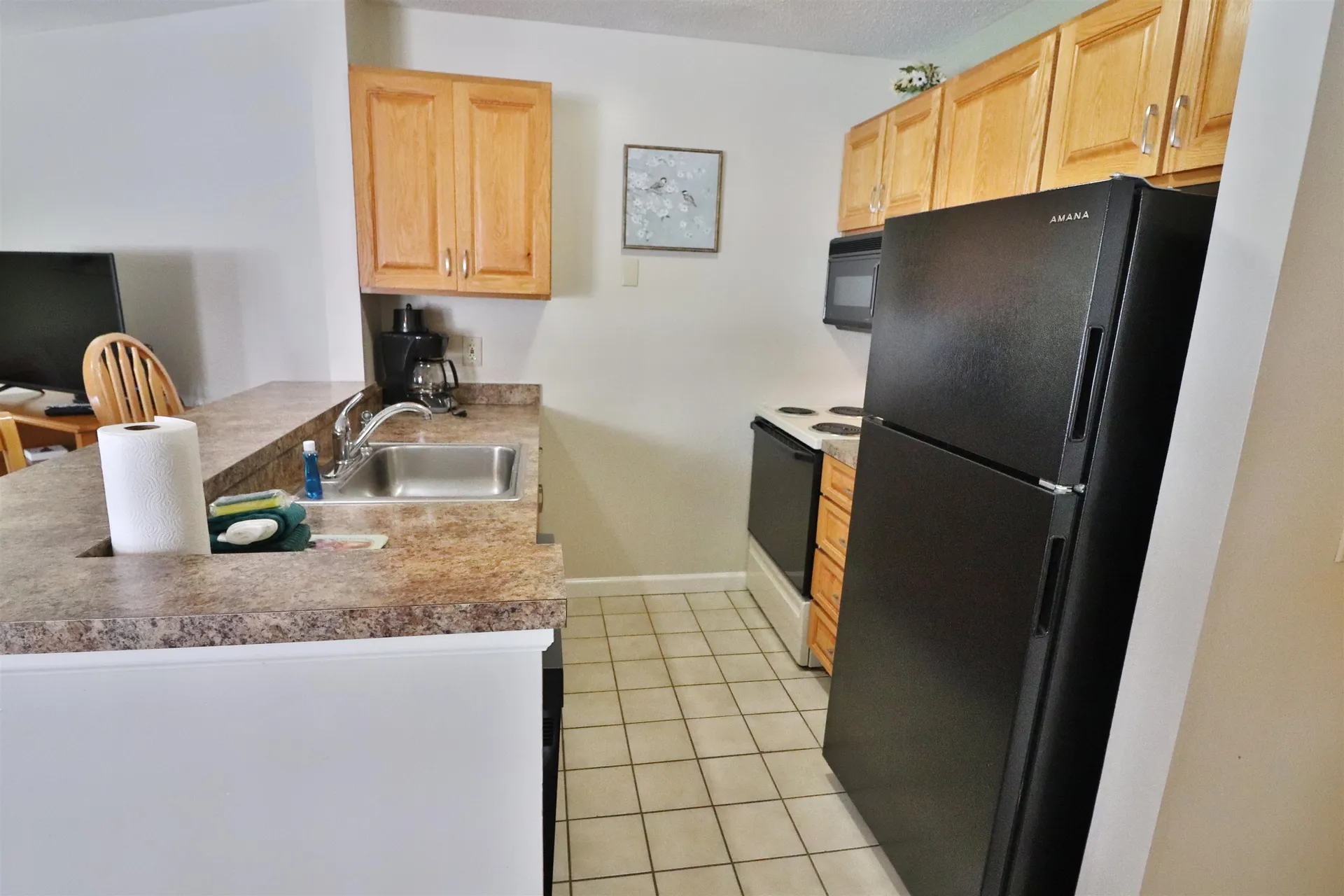 156 Deer Park Drive Woodstock NH 03262