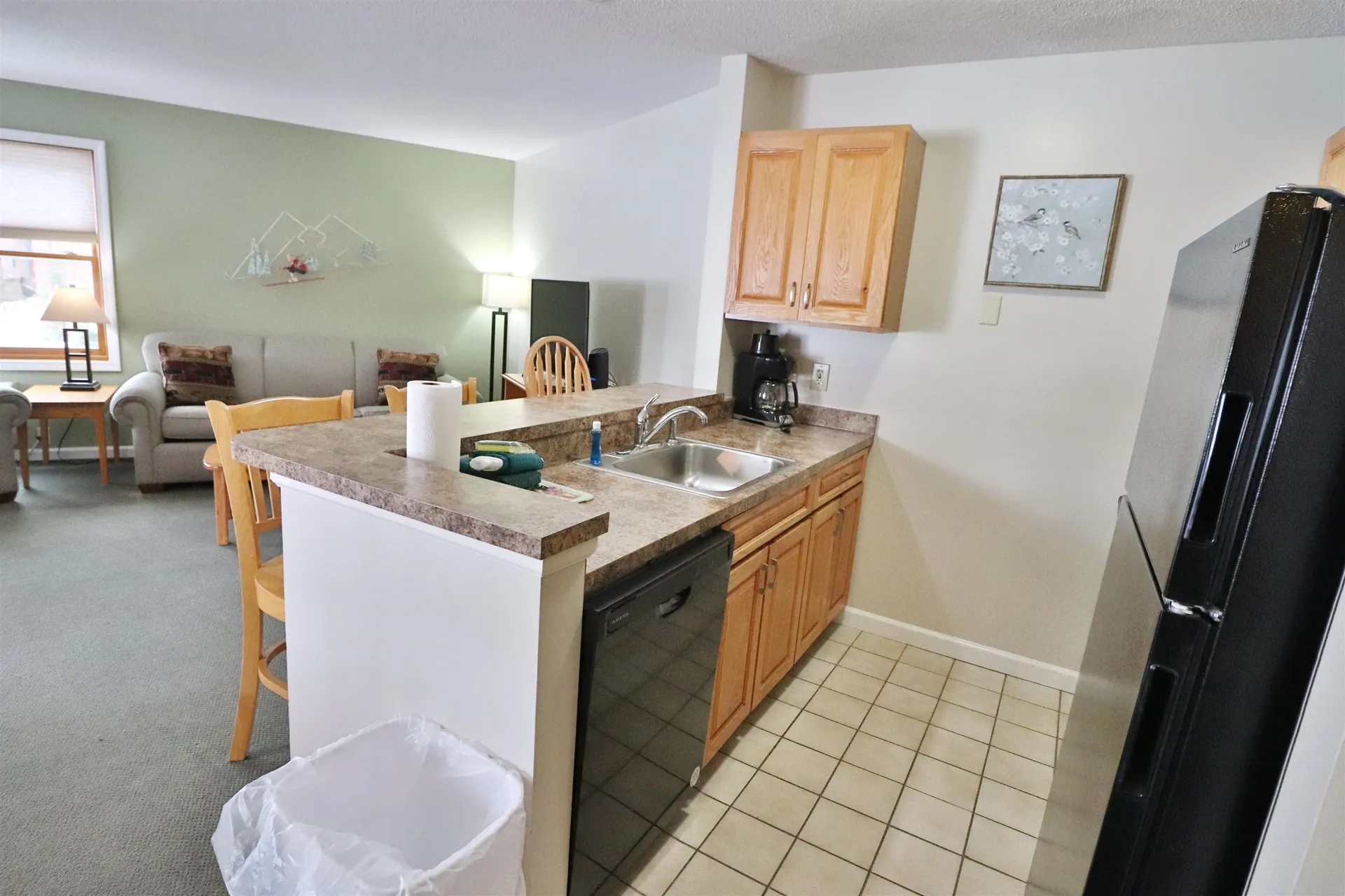 156 Deer Park Drive Woodstock NH 03262
