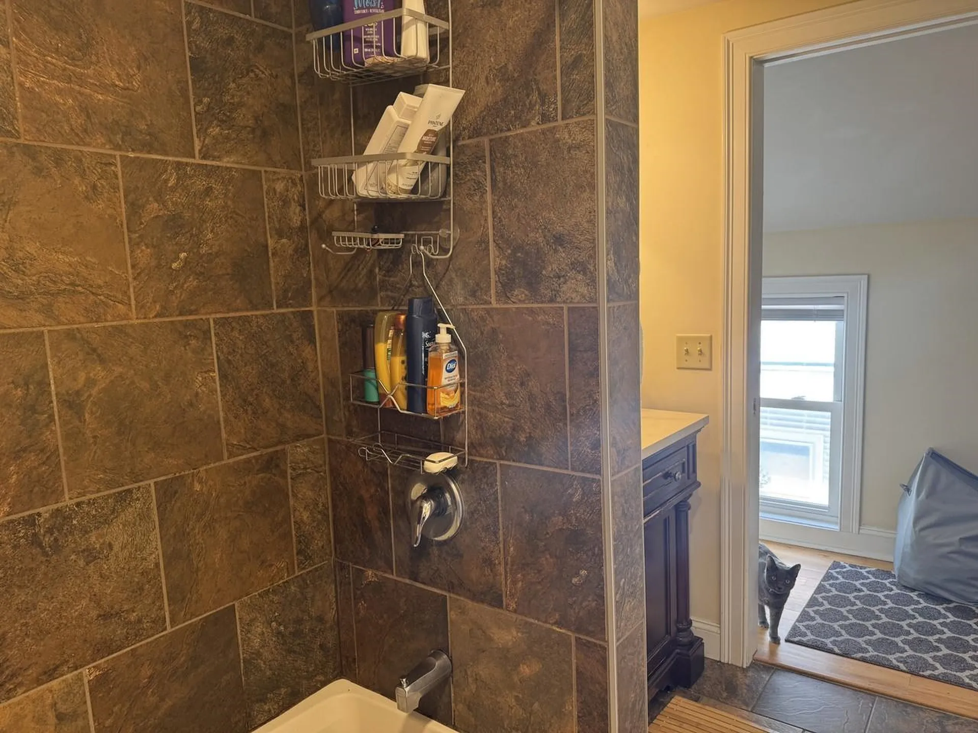 187 North Champlain Street Burlington VT 05401