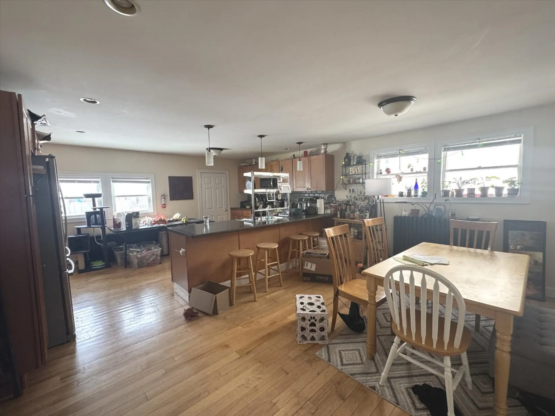 187 North Champlain Street Burlington VT 05401