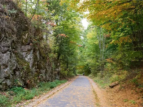 187 North Champlain Street Burlington VT 05401