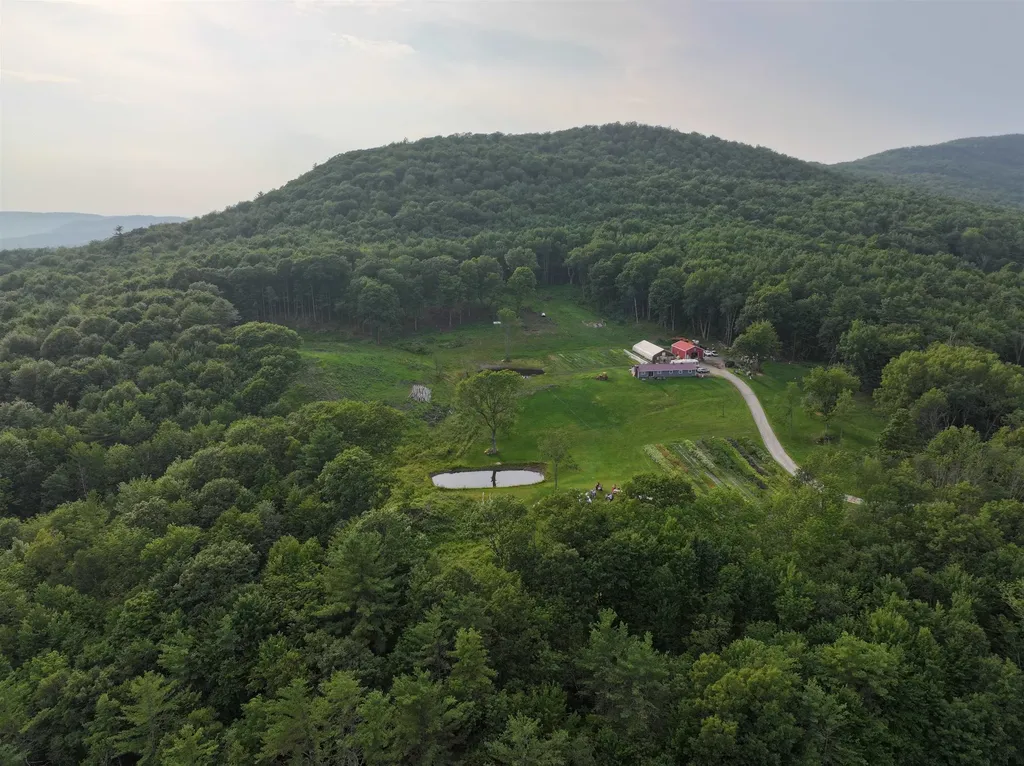 109 Morgan Road Tinmouth VT 05777