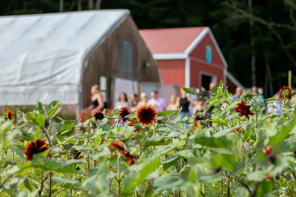 109 Morgan Road Tinmouth VT 05777