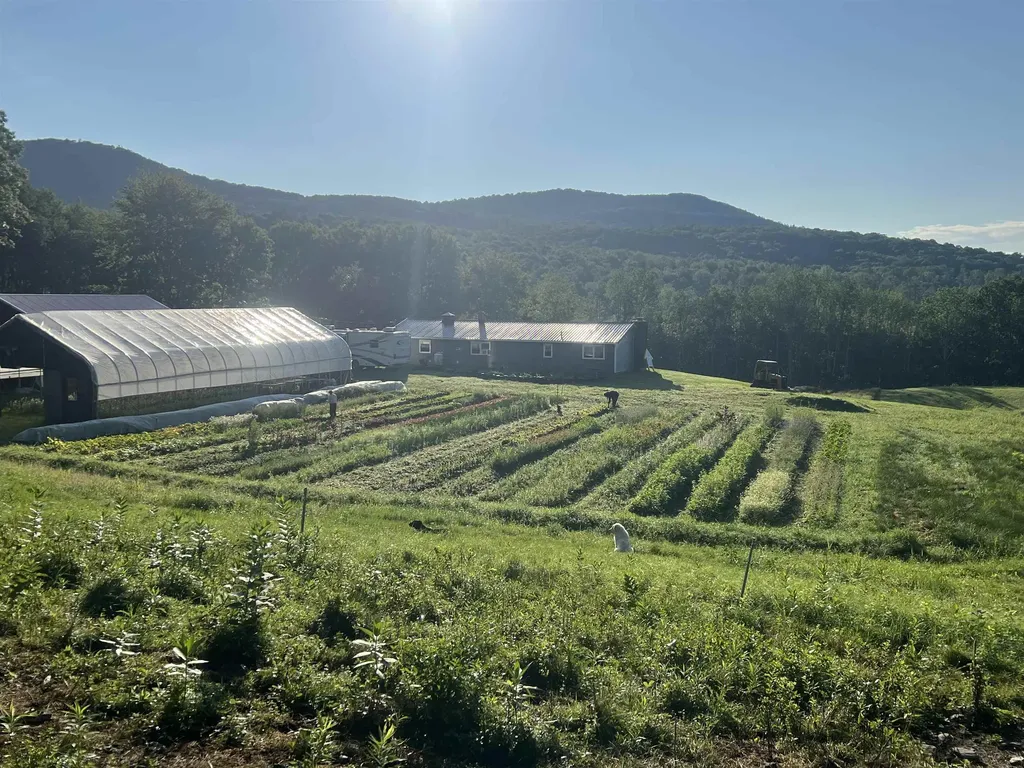 109 Morgan Road Tinmouth VT 05777