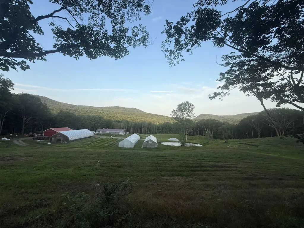 109 Morgan Road Tinmouth VT 05777