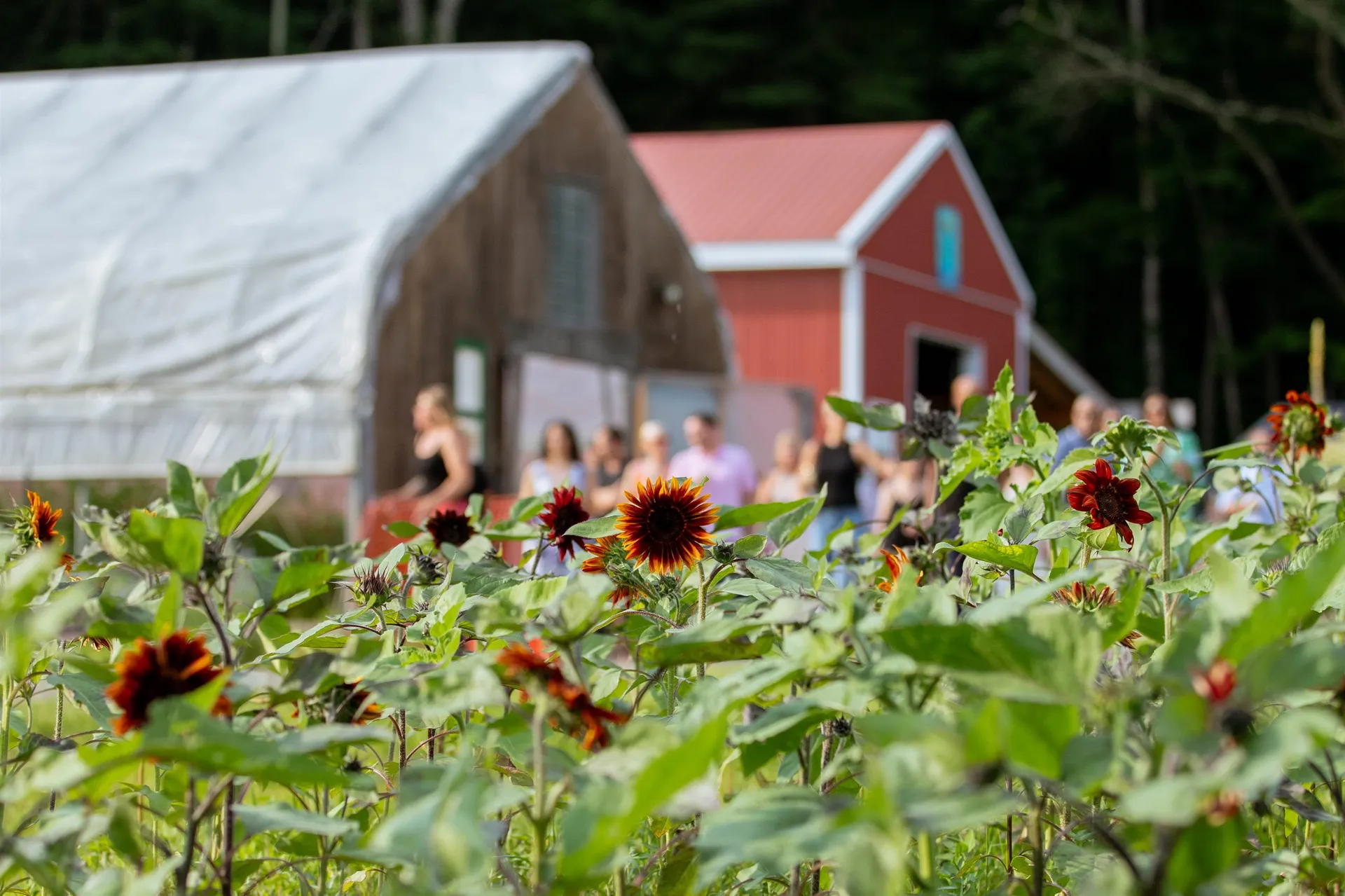 109 Morgan Road Tinmouth VT 05777