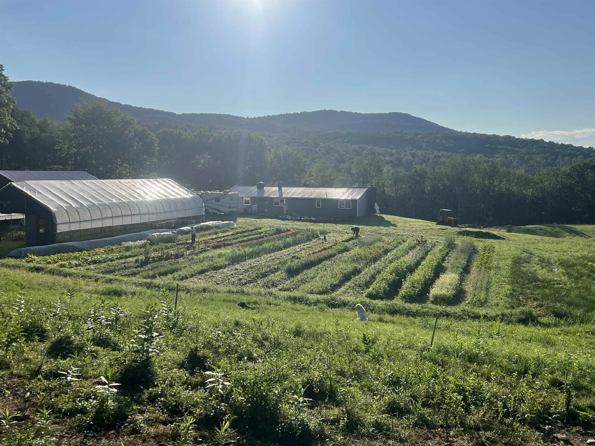 109 Morgan Road Tinmouth VT 05777