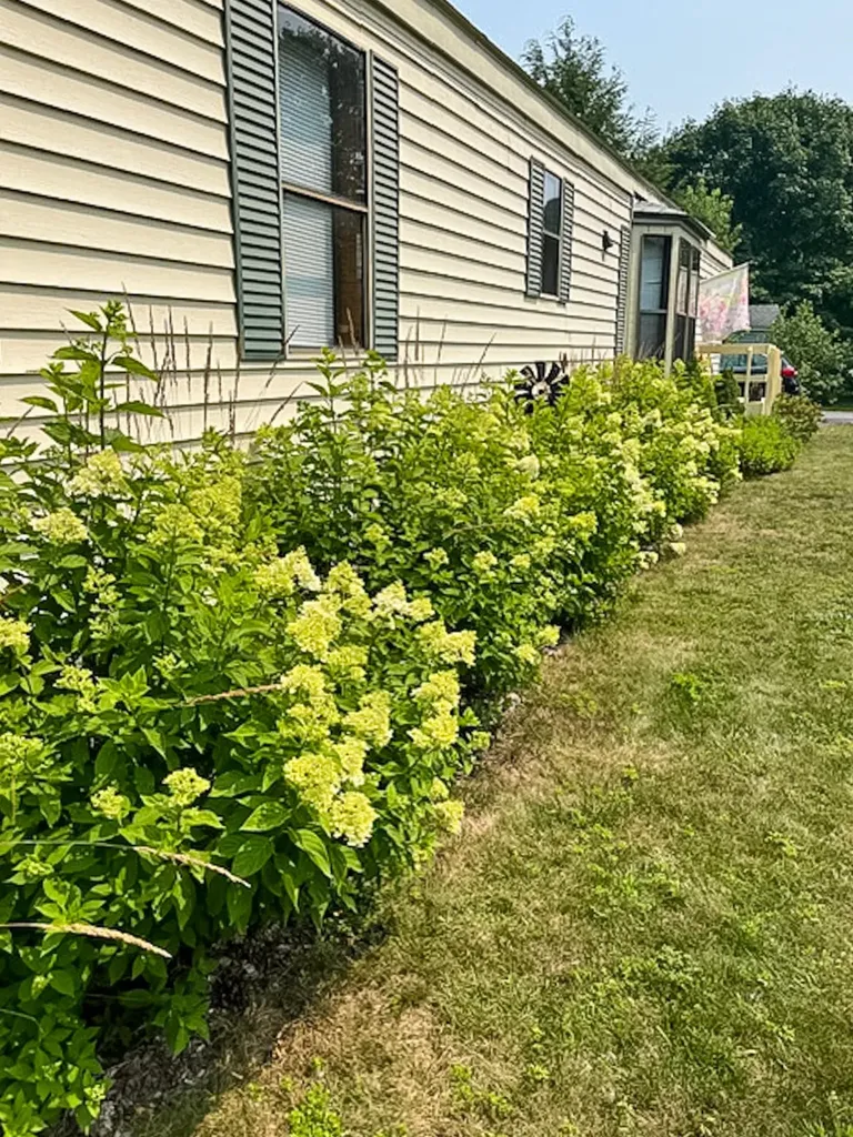 838 Middlewood Road Williston VT 05495