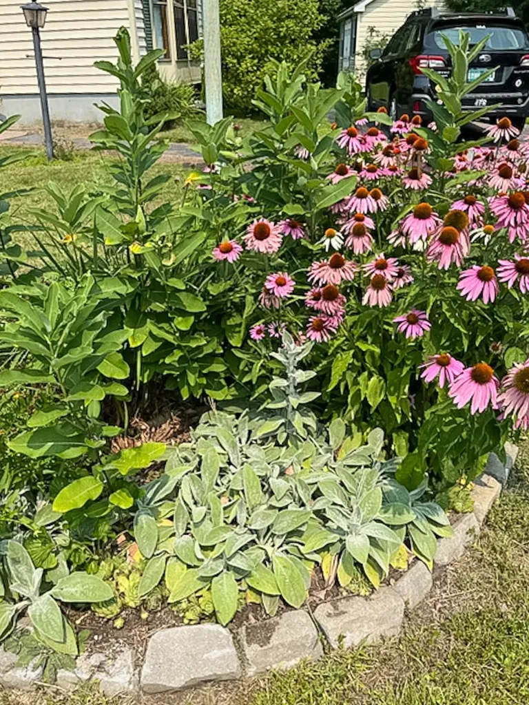 838 Middlewood Road Williston VT 05495