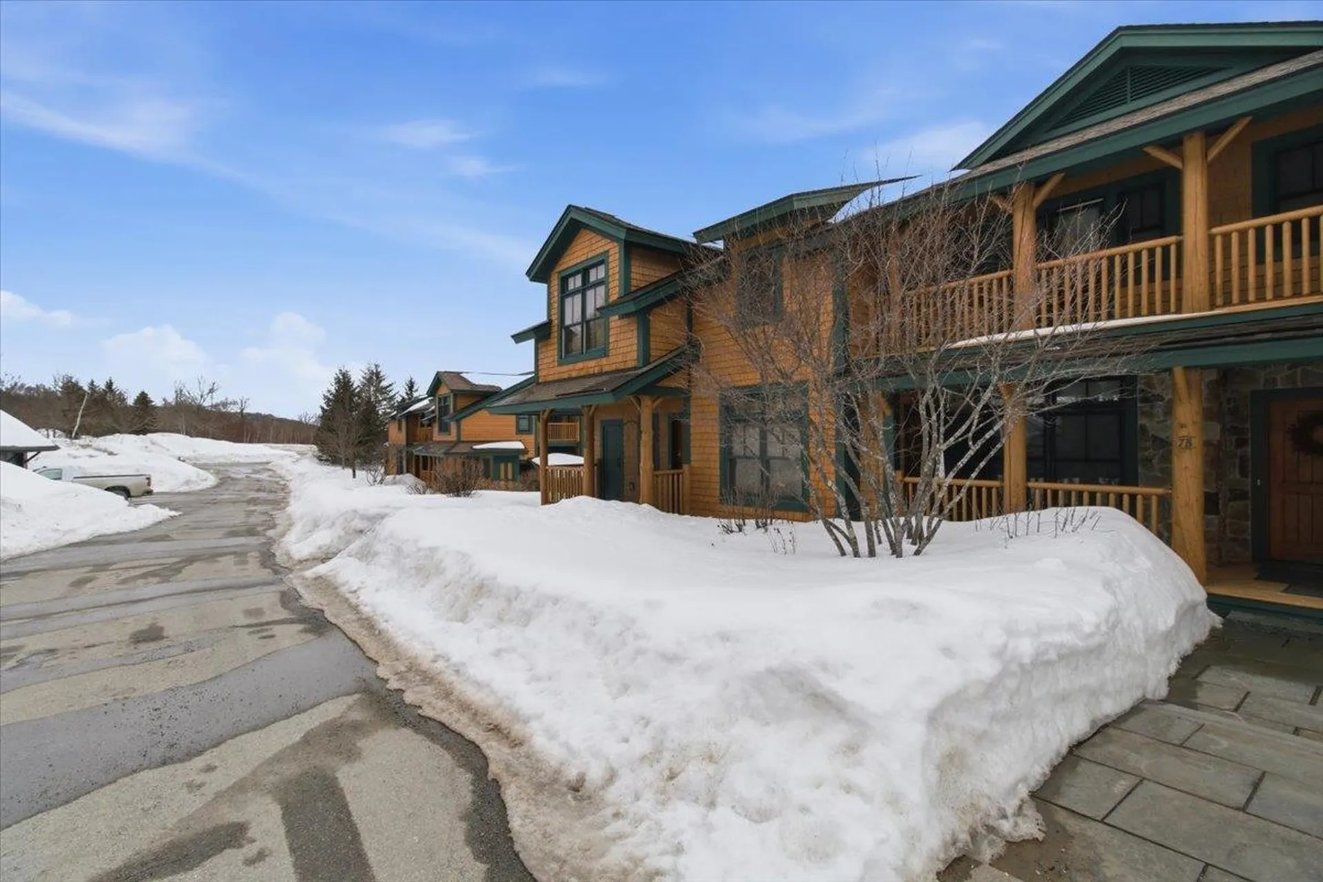 7C Woodfern Run Stratton VT 05155