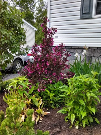 12 Overlook Drive Montpelier VT 05602