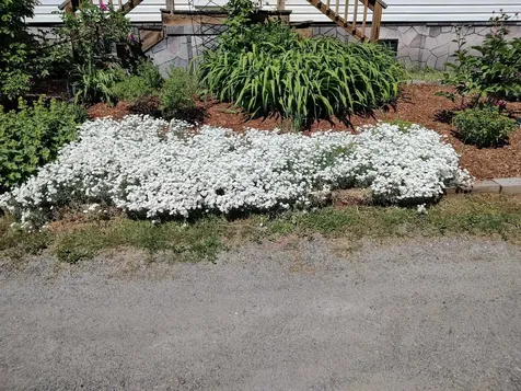 12 Overlook Drive Montpelier VT 05602