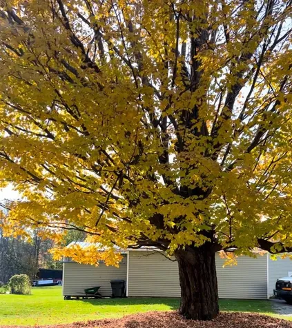 67 Highland Avenue Derby VT 05830