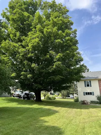 67 Highland Avenue Derby VT 05830