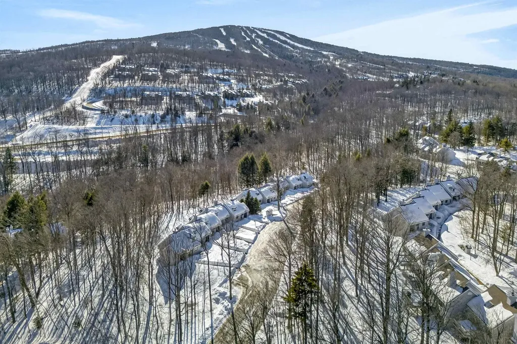 56 Styles Branch Road Stratton VT 05155