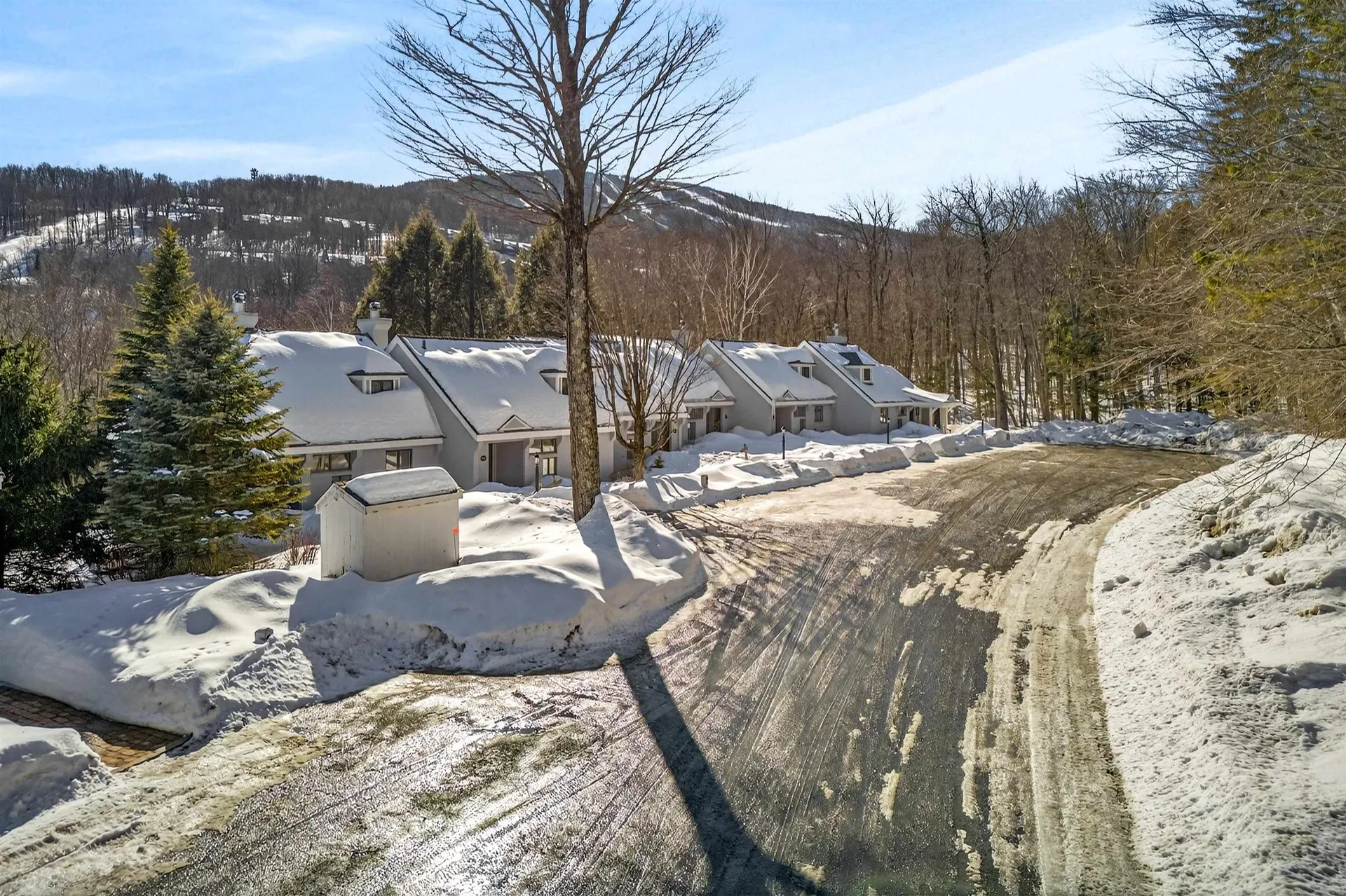 56 Styles Branch Road Stratton VT 05155