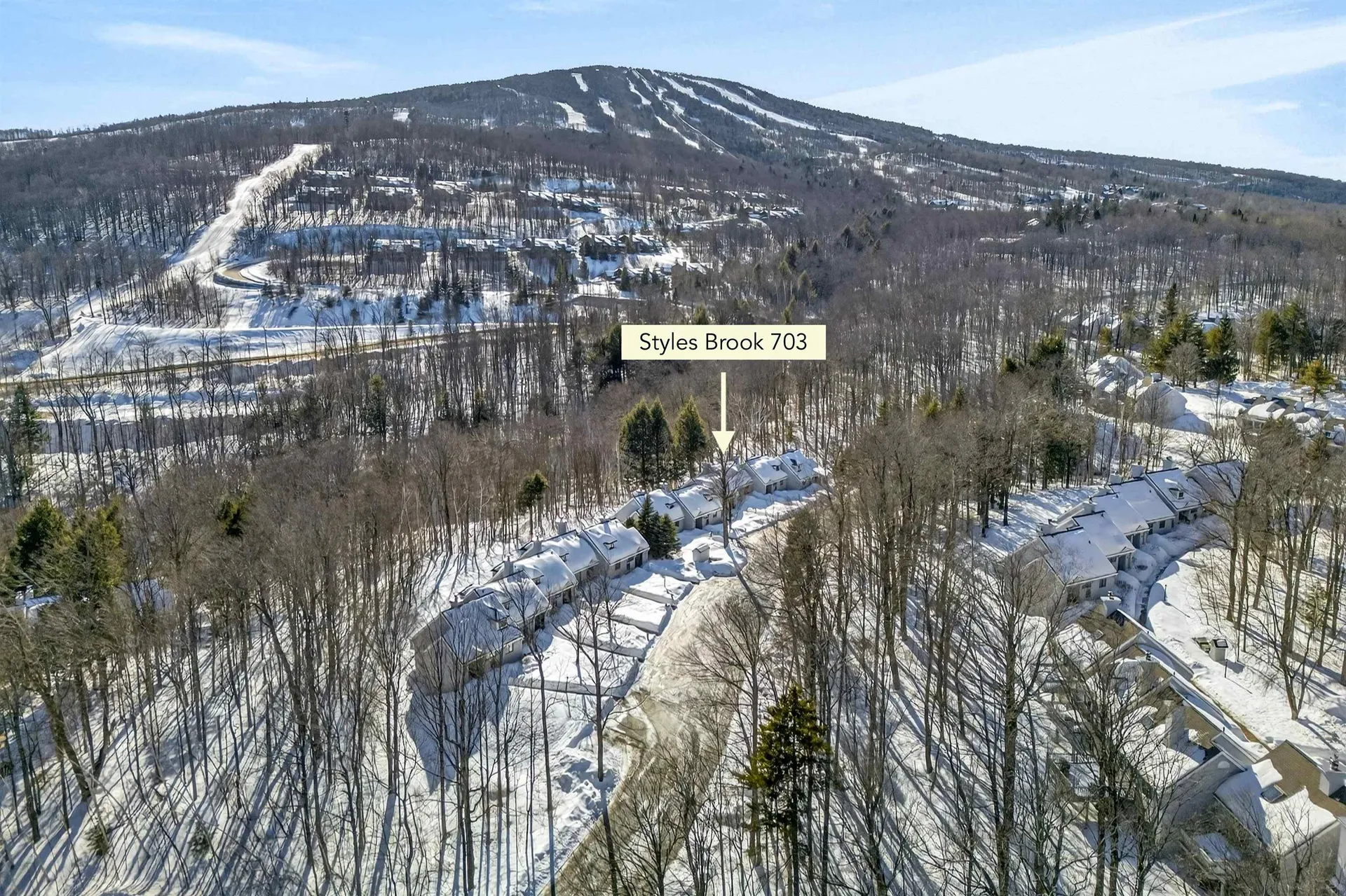 56 Styles Branch Road Stratton VT 05155