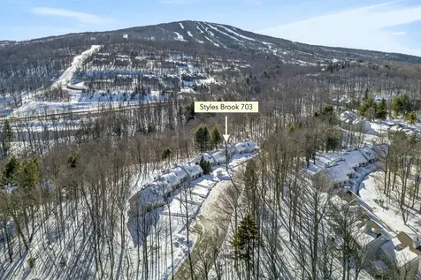 56 Styles Branch Road Stratton VT 05155