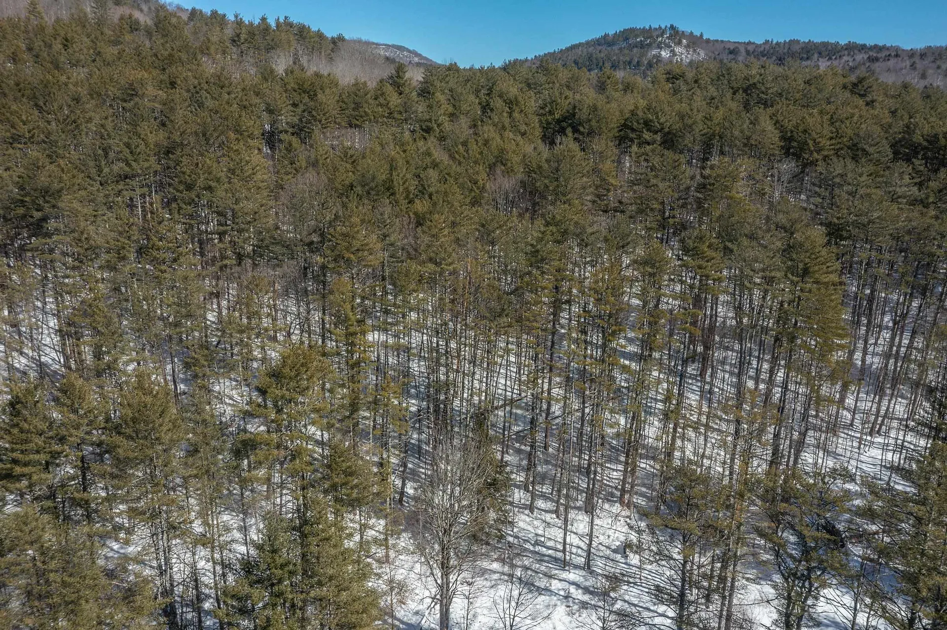 98 Gleason Farm Lane Jamaica VT 05343