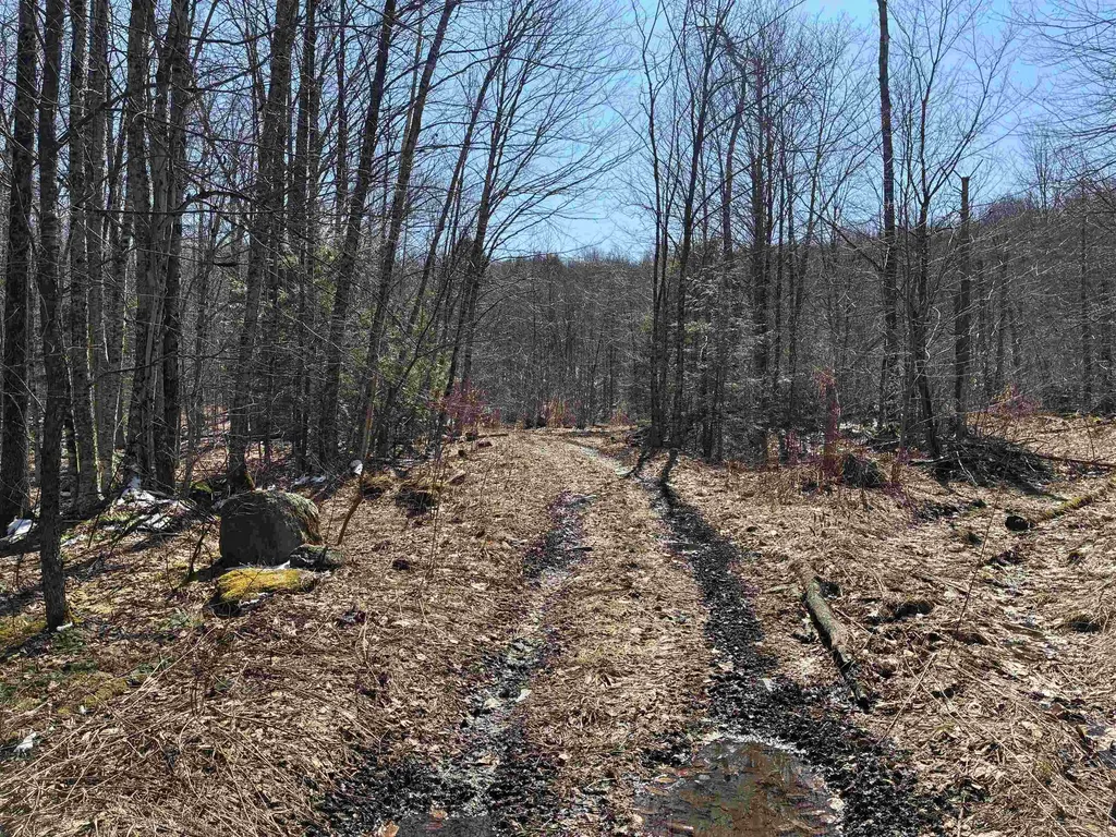 Lot 1 Marshall Road Duxbury VT 05676