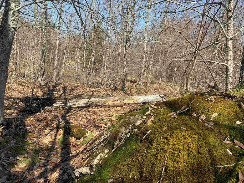 Lot 1 Marshall Road Duxbury VT 05676