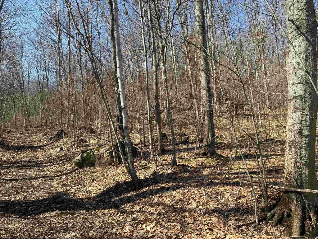 Lot 1 Marshall Road Duxbury VT 05676