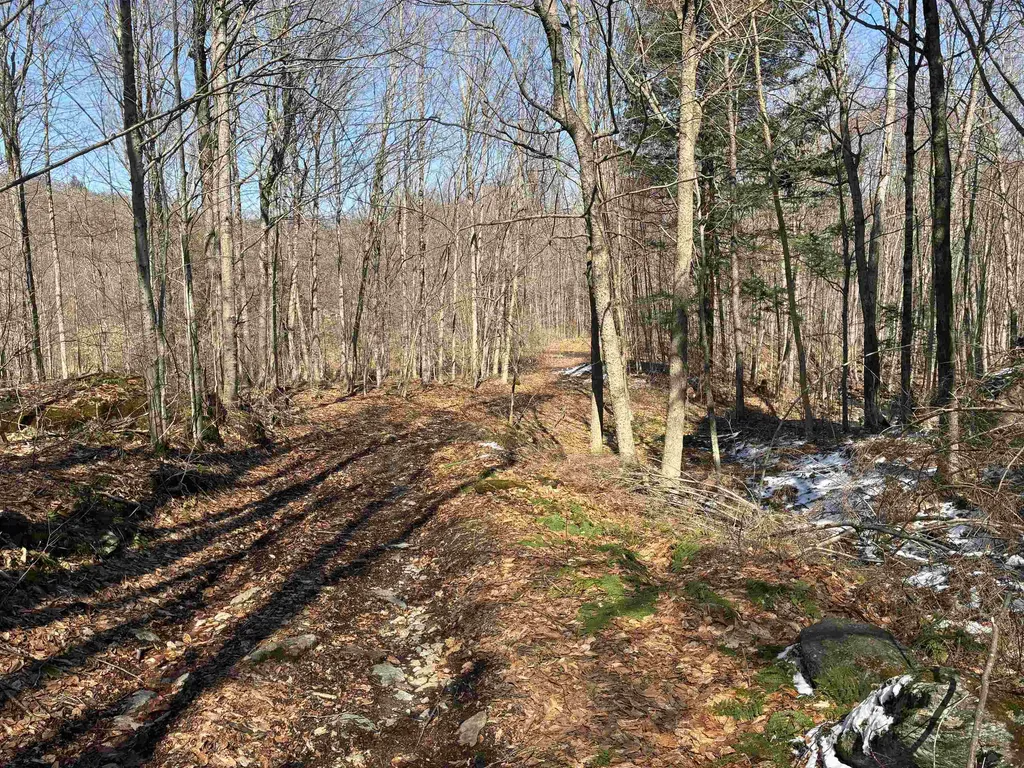 Lot 1 Marshall Road Duxbury VT 05676