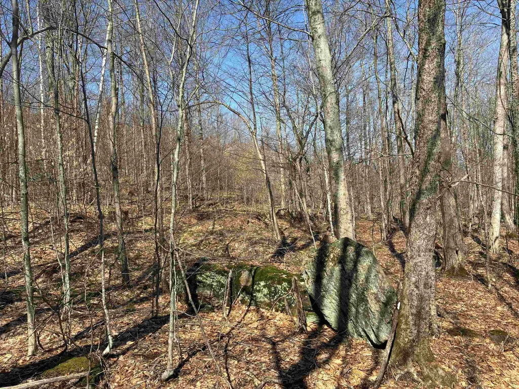 Lot 1 Marshall Road Duxbury VT 05676