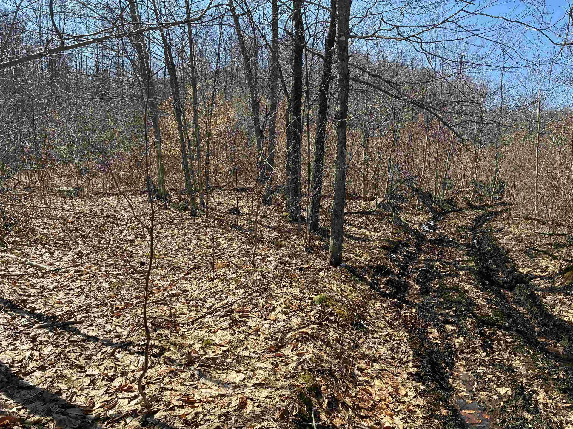 Lot 1 Marshall Road Duxbury VT 05676