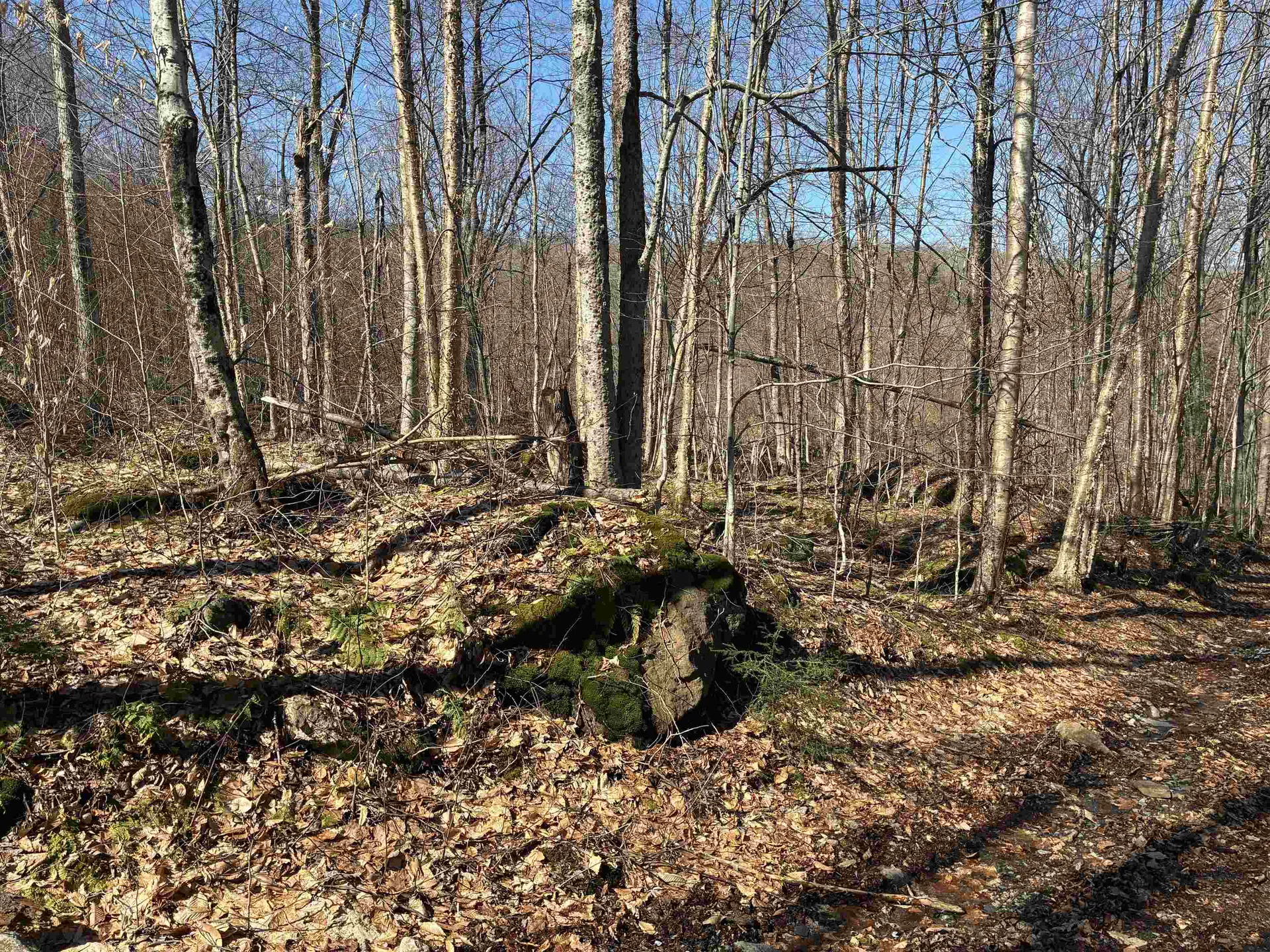 Lot 1 Marshall Road Duxbury VT 05676